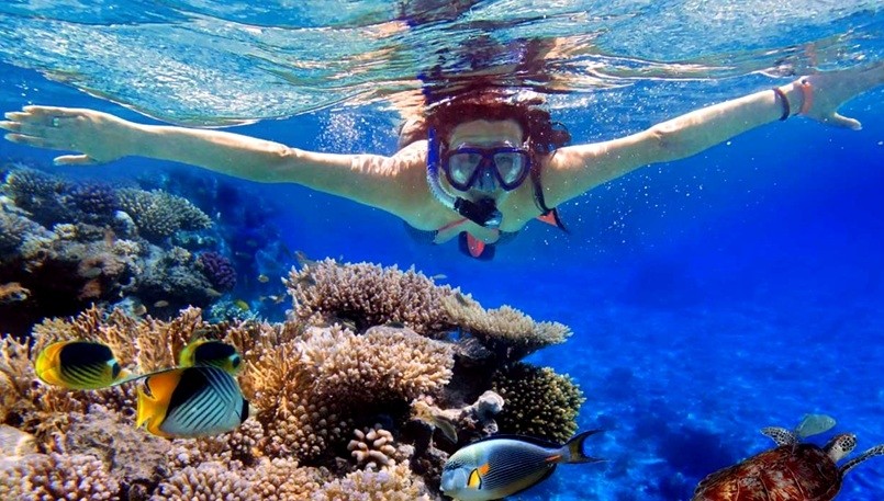 Ras Mohamed Tours from Sharm El Sheikh Port