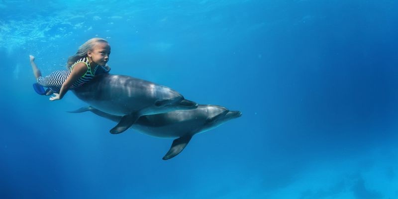 Snorkeling Trip At Satayh Dolphin Reef