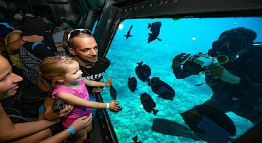 Tours y Excursiones El Barco de Cristal en Sharm El Sheikh