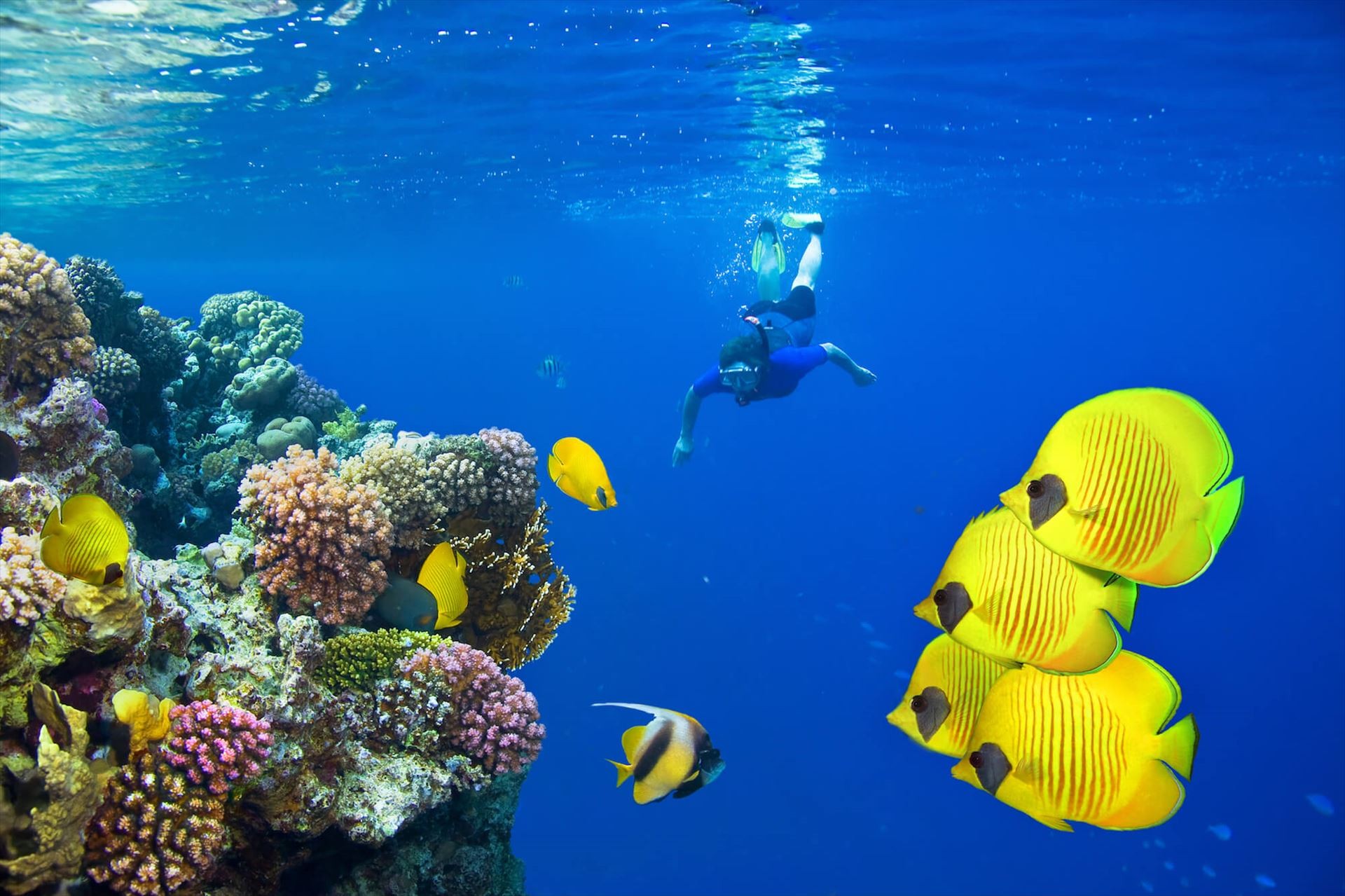 Easter 2026 Cairo & Sharm El Sheikh Holiday Package