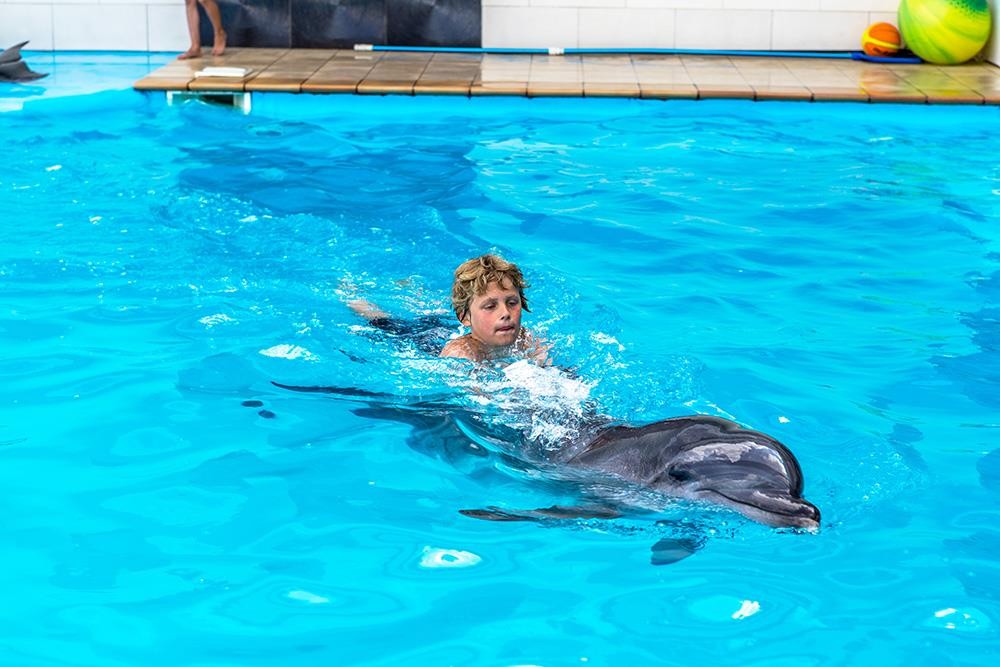 Swimming with Dolphins in Hurghada