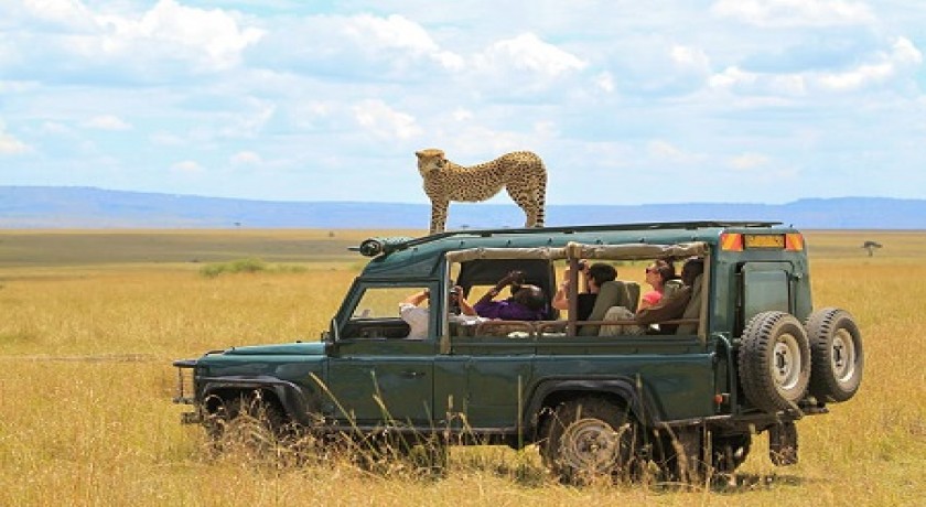 6 dias de acampamento e safári em lodge