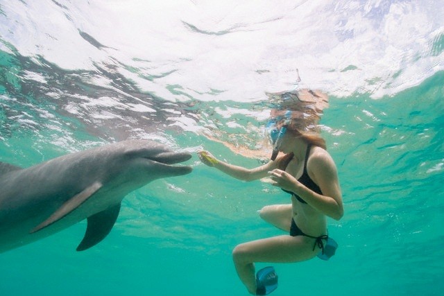 Esnorquel Tours en Dolphin House en Marsa Alam