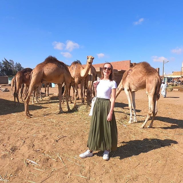 Excursión el mercado de camellos de Birqash