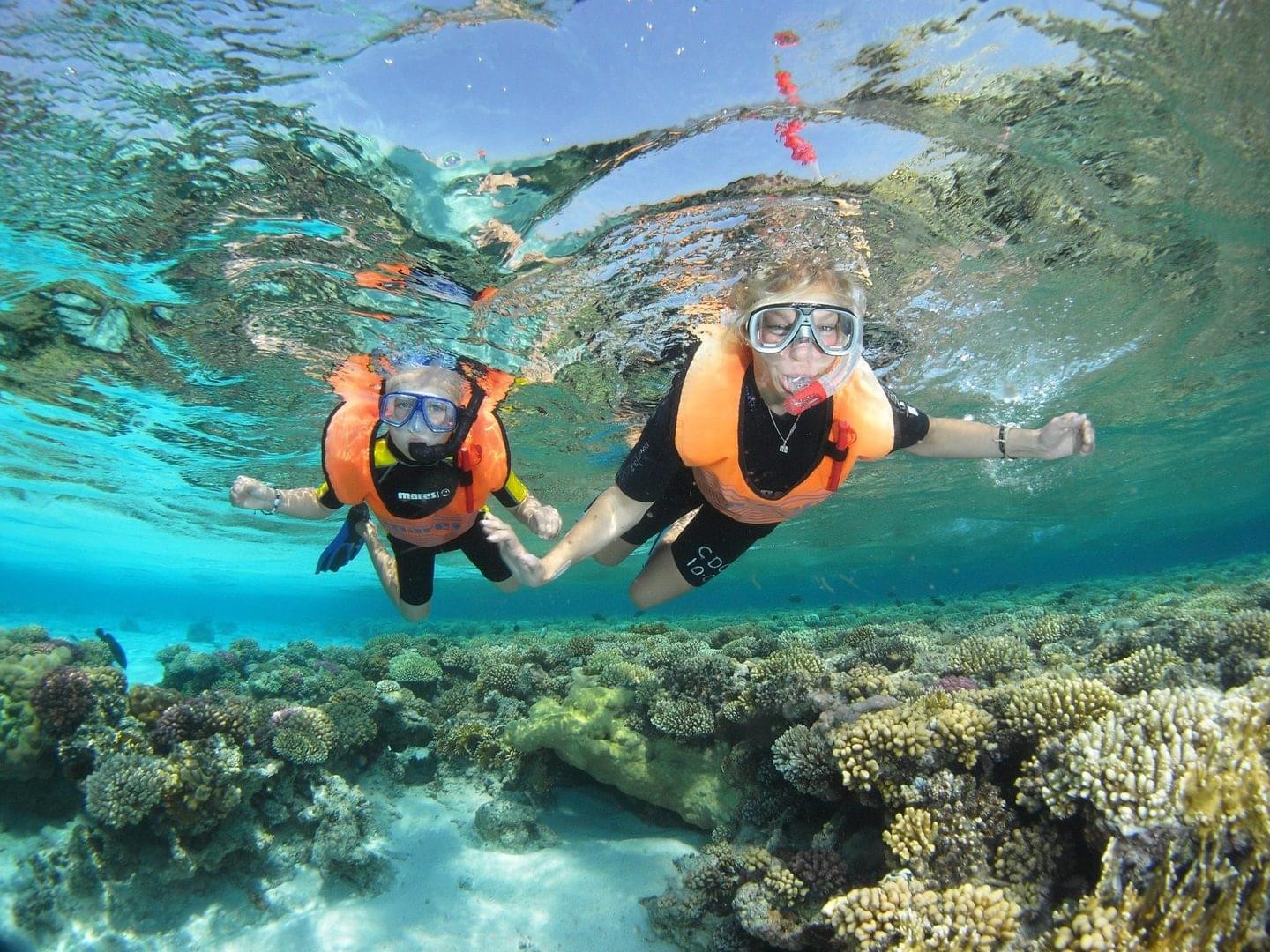 Tours de Esnorquel en Aqaba desde Taba