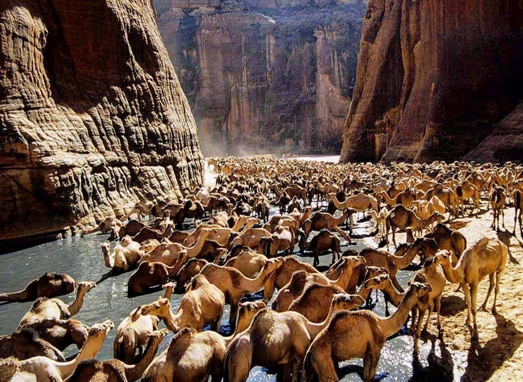 Wadi El Gemal Tours in Marsa Alam