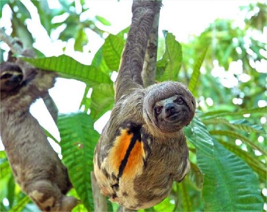 4 Days Wildlife Adventure