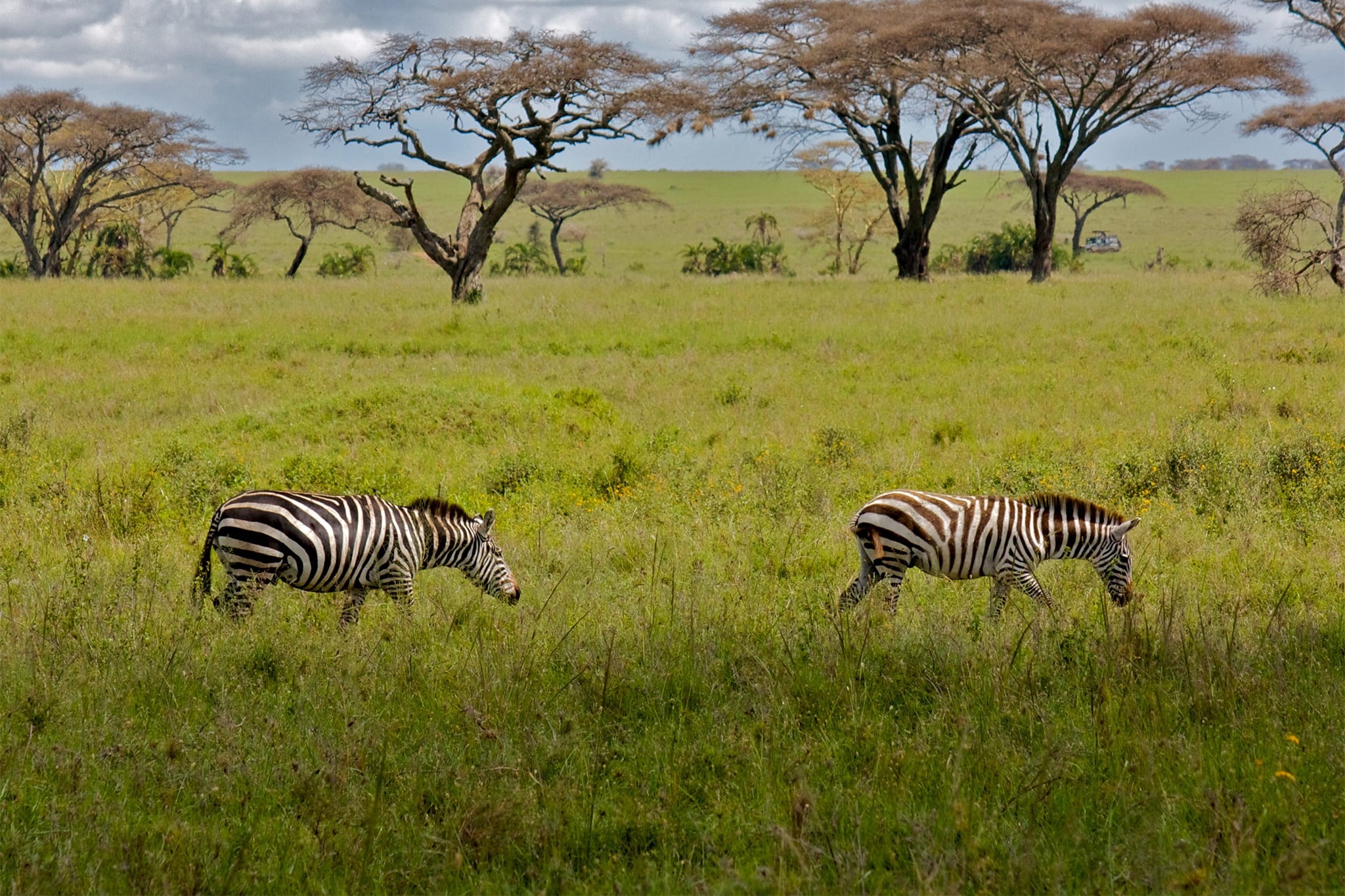 3 Days Lodge Safaris