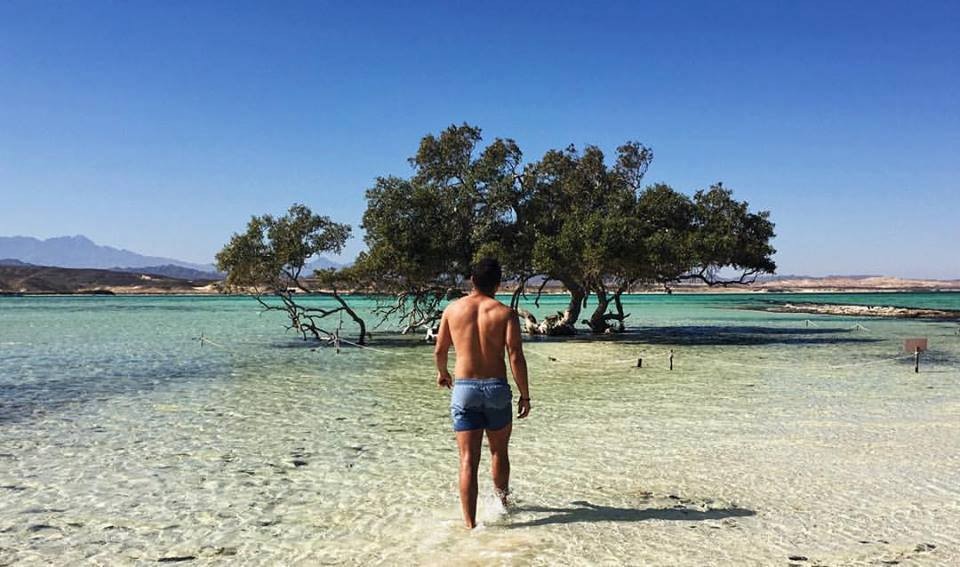 7-Day Marsa Alam: Things to Do and Cairo Trips