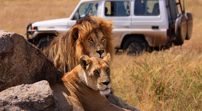 Lago Manyaray y Ngorongoro Crater en Tanzania