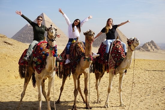 Camel & Horse Ride around the Pyramids