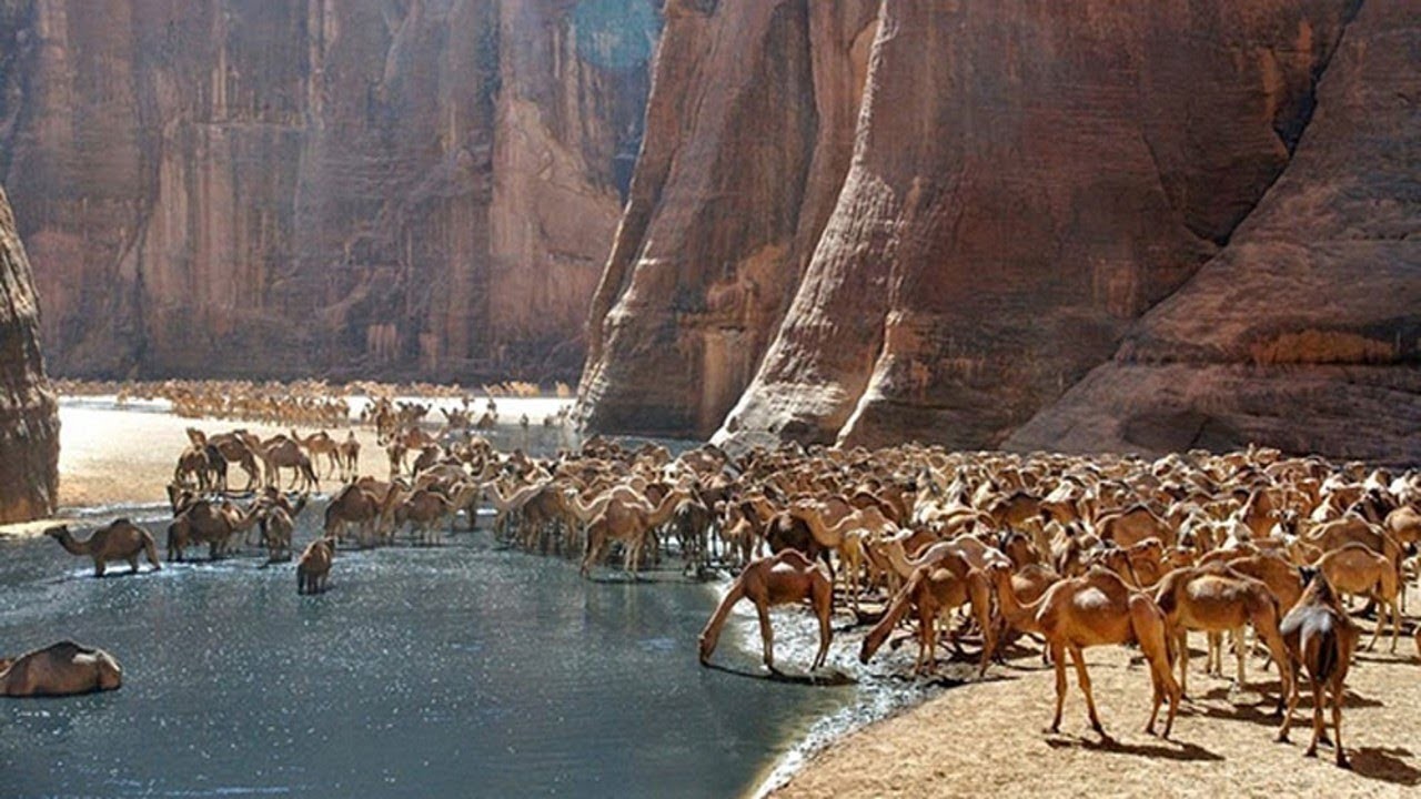 Wadi El Gemal Tours in Marsa Alam