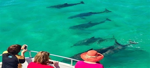 Esnorquel Tours en Dolphin House en Marsa Alam