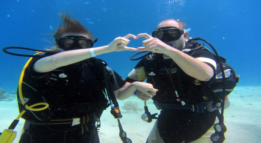 Excursiones Nadar con Delfines en Hurghada