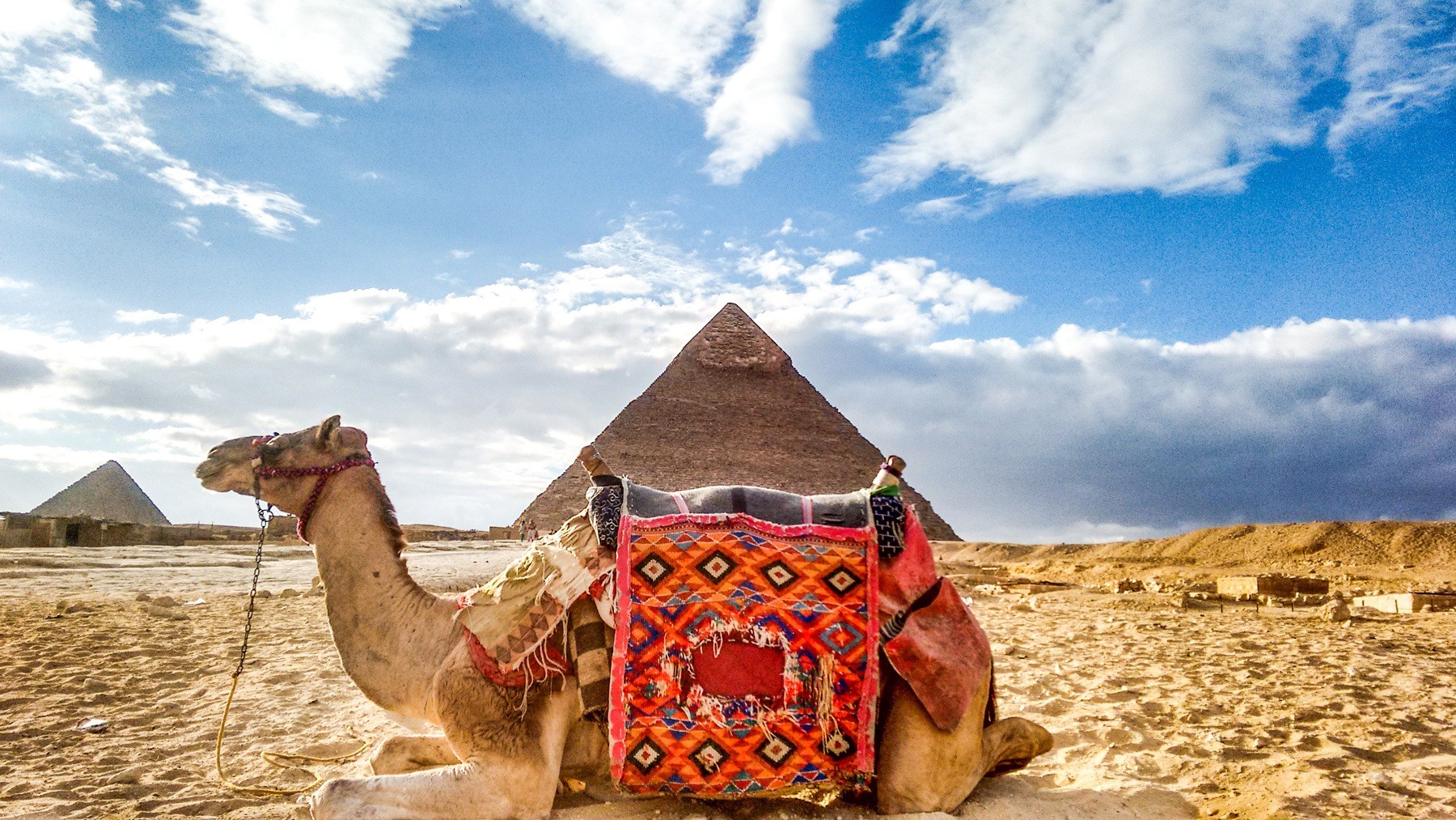 Overnight Cairo Tours from Taba