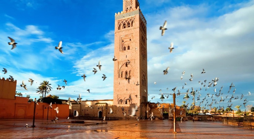 Passeios Cairo e Marrocos