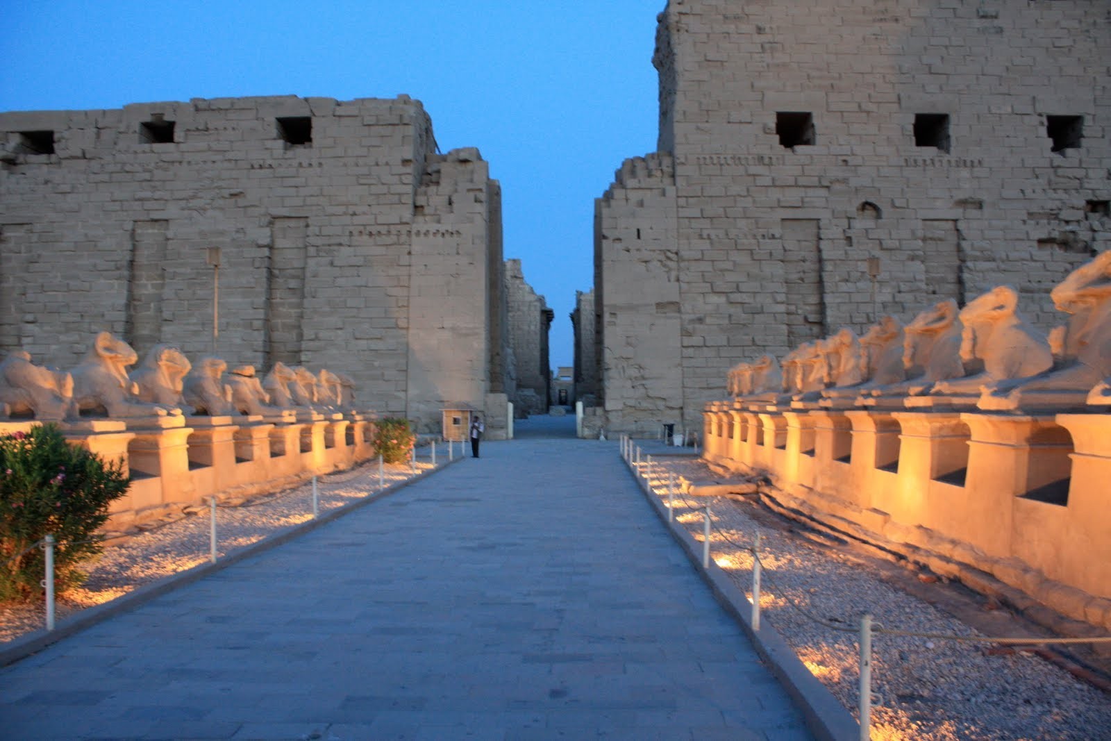 Cairo and Luxor Tours from Marsa Alam