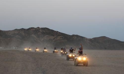 Amazing Safari from Marsa alam