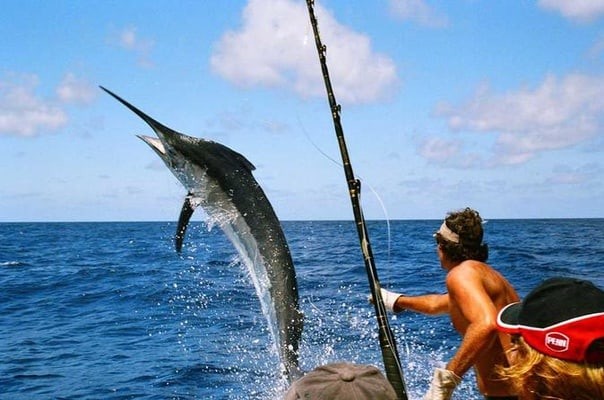 Tours de Pesca en Hurghada