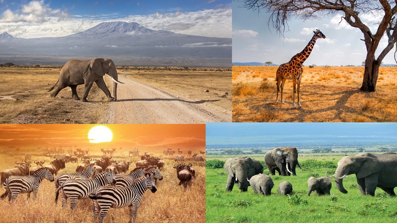 Safari Viajes en Kenia a Samburu y Masai Mara por Avión