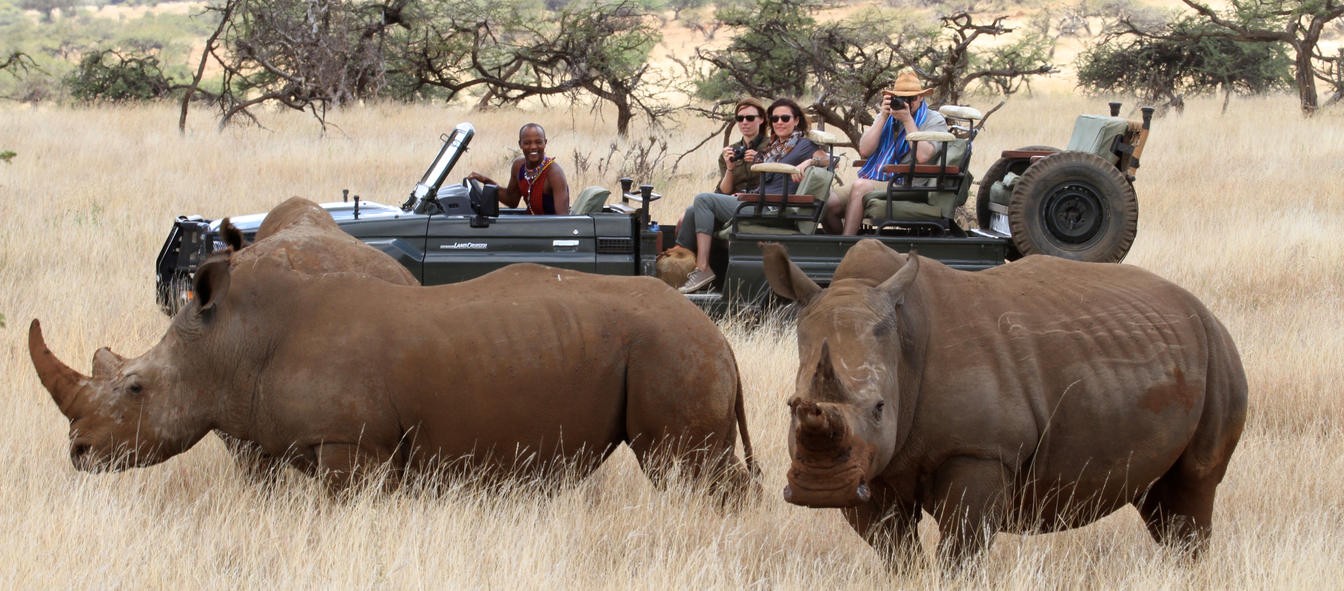 Kenya Safari – Nairobi Wildlife Experience