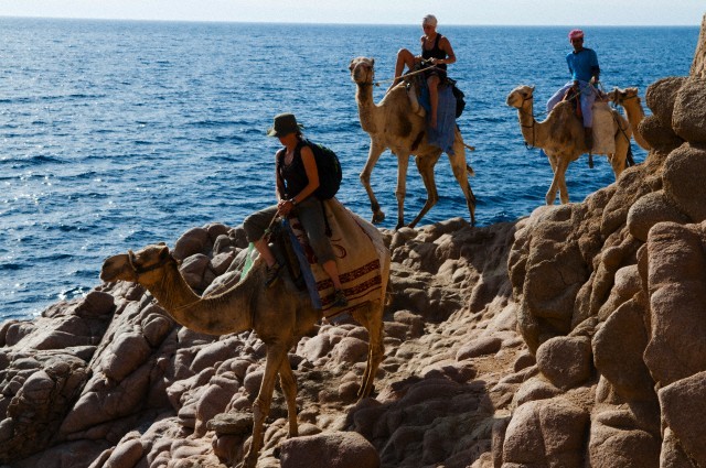 Abu Galum Safari Tours from Sharm El Sheikh