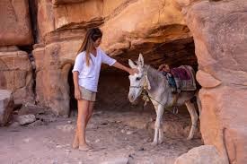 Paquetes de Viajes Egipto y Jordania