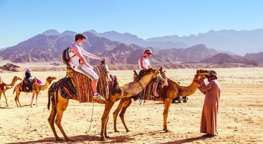 Tours El Cairo, Crucero y Sharm El Sheikh