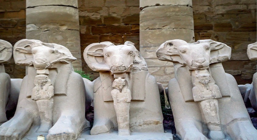 Sharm El Sheikh Viajes y Luxor Tours
