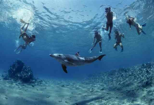 Hamata Island snorkeling tour from Marsa Alam