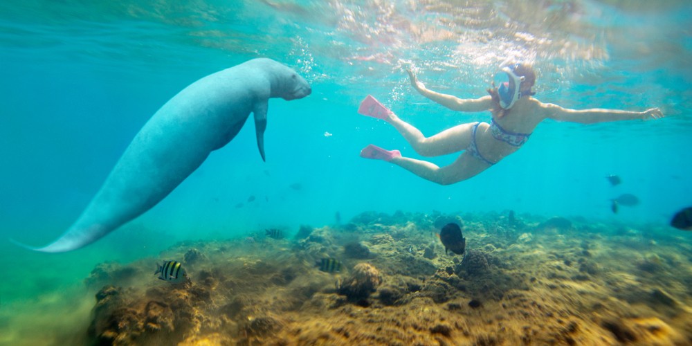Hamata Island snorkeling tour from Marsa Alam