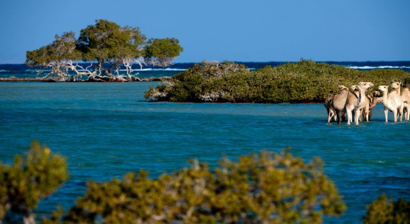 Wadi El Gemal Tours em Marsa Alam