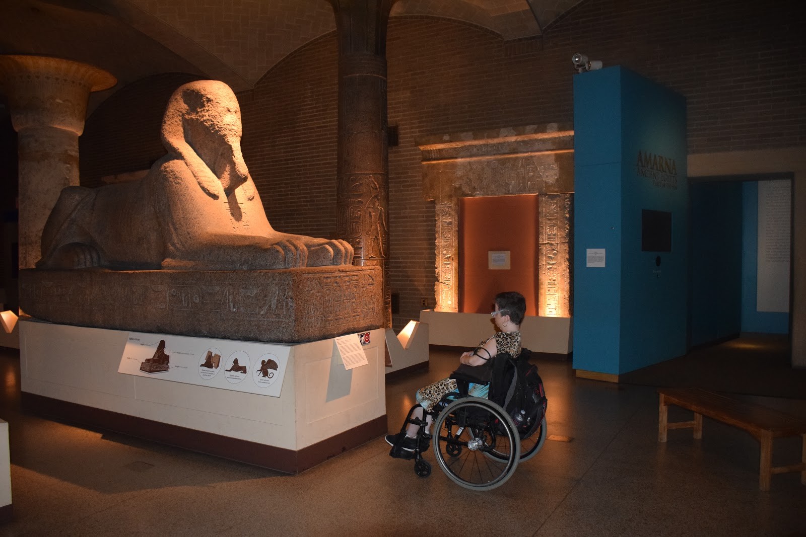Accessible wheelchair excursion to Cairo from Sokhna