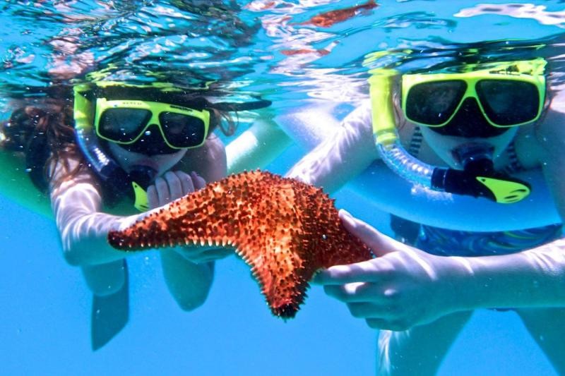 Ras Mohamed Tours from Dahab