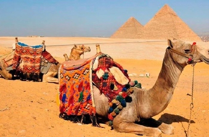 Cairo Tours from Marsa Alam