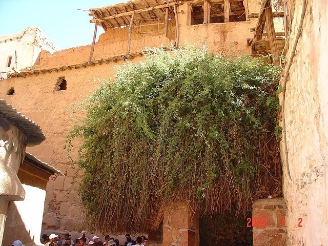 Tours a Santa Catalina y Sharm El Sheikh