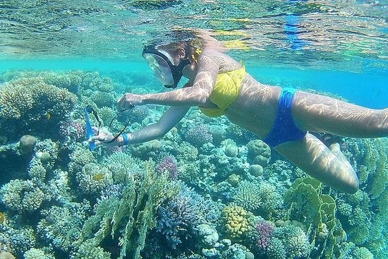 Magawish Island Snorkeling-Hurghada Trip