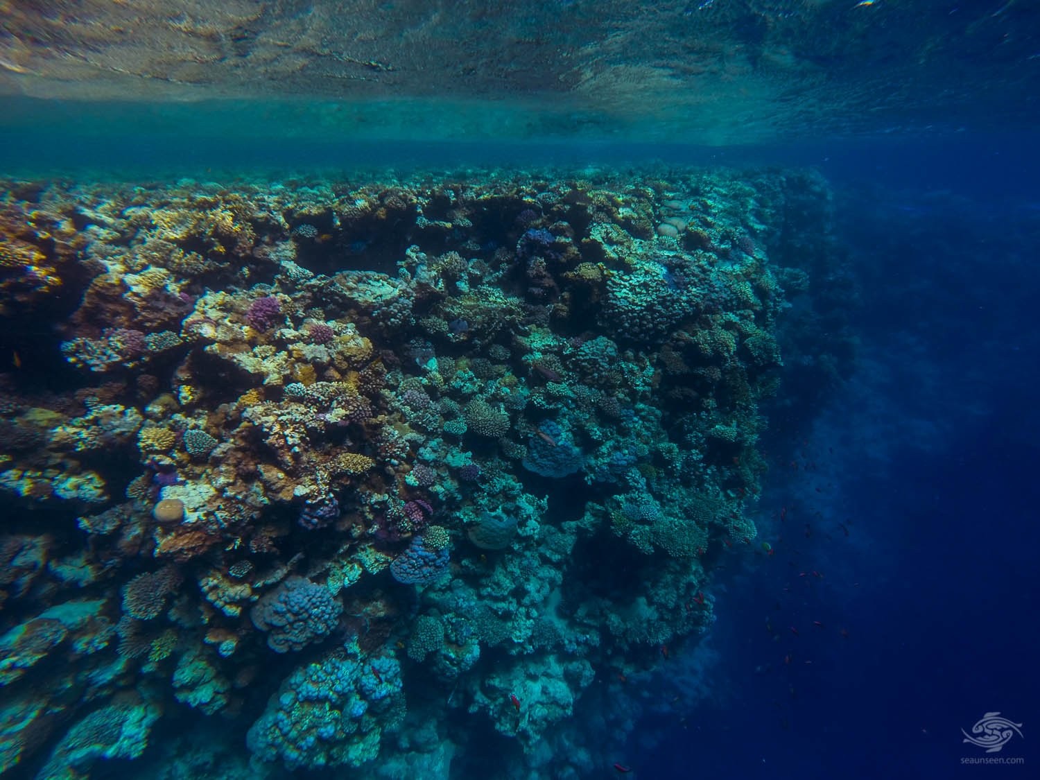 Blue Hole Snorkeling Tours in Dahab