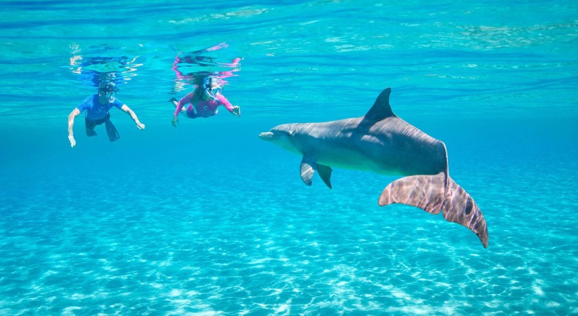 Mergulho no Mar Vermelho de Hurghada
