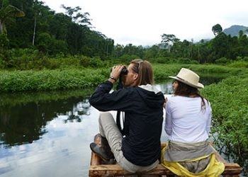 6 Days camping and lodge safari