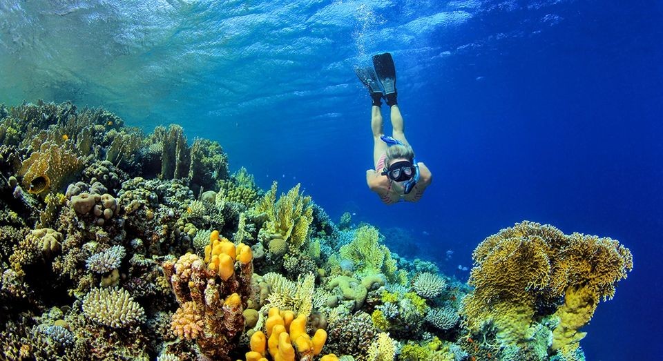 Magawish Island Snorkeling-Hurghada Trip