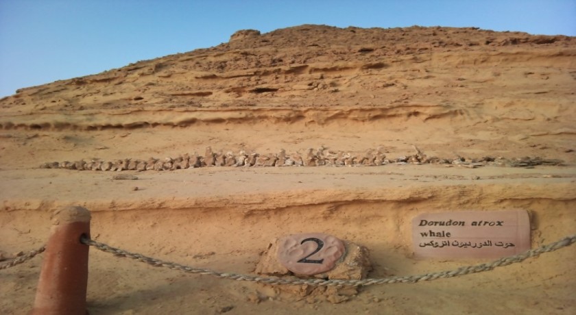 Pirâmide de Hawara, Oásis de Fayoum