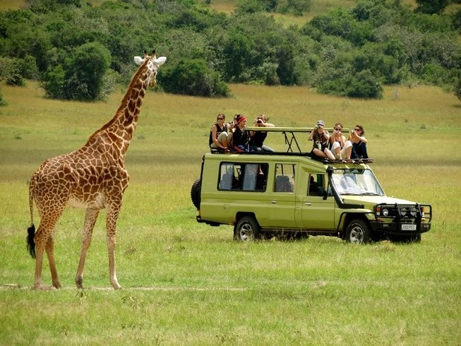 7 Days Wildlife Safari