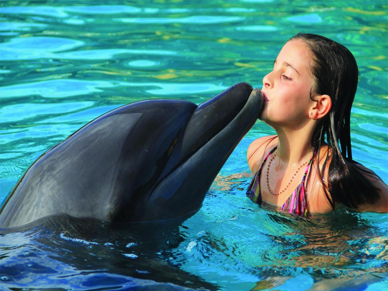 Swimming with Dolphins in Hurghada