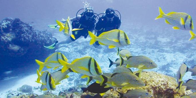 Cairo and Hurghada city breaks - Egypt attractions