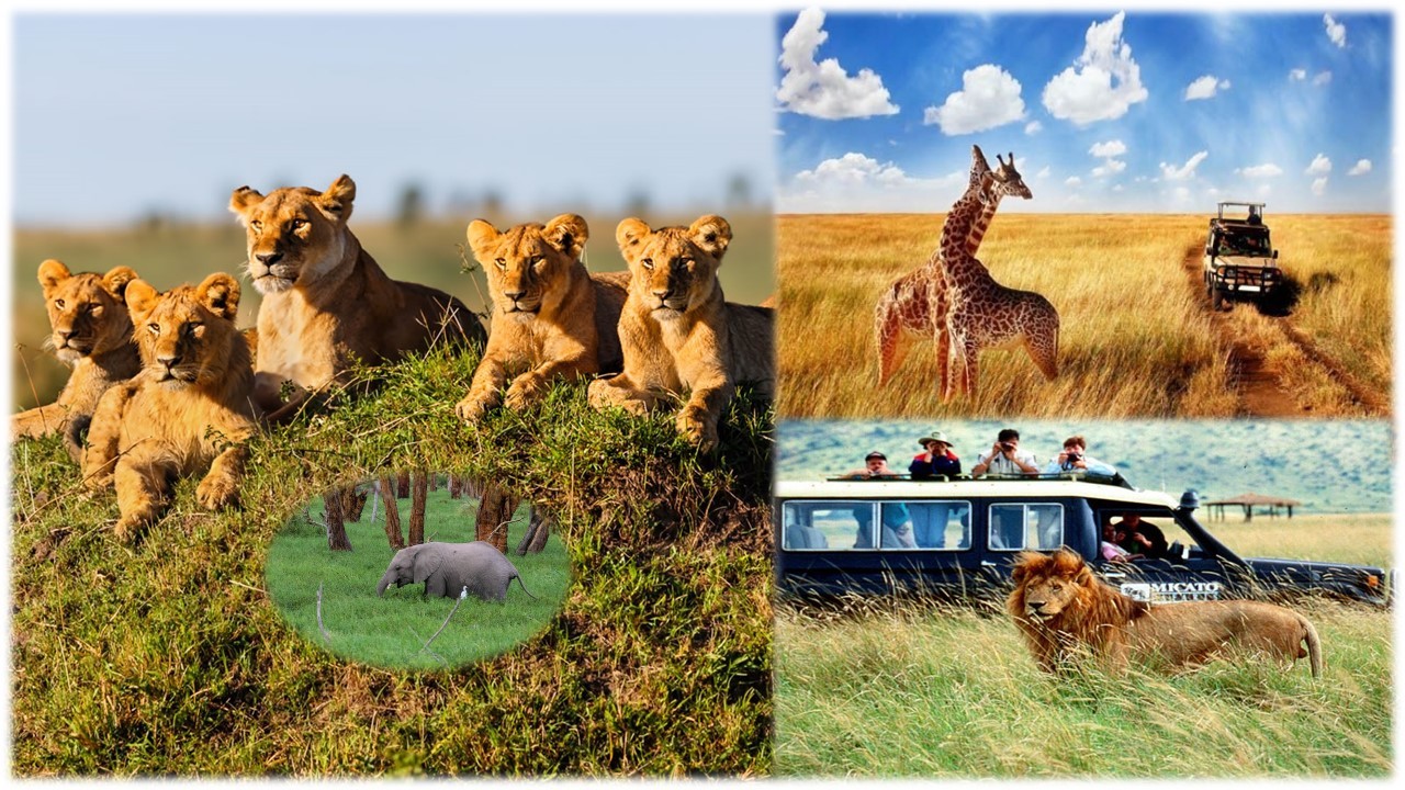 Paquetes de Viajes y Safari en Kenia