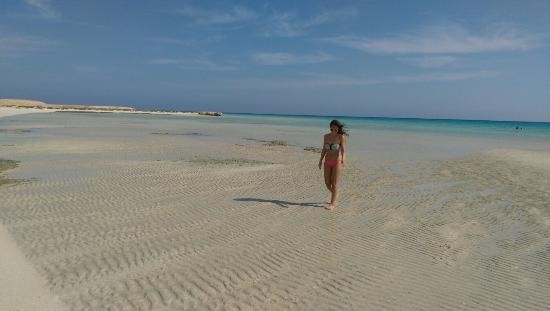 Tours de Esnorquel en Sharm El Luli Marsa Alam