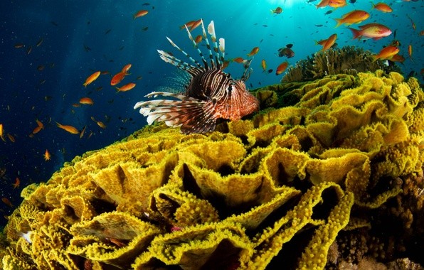 Sharm el naga desde Hurghada