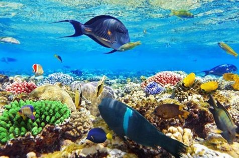 Sharm el naga desde Hurghada
