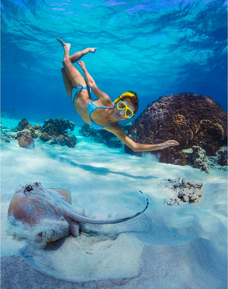 Hamata Island snorkeling tour from Marsa Alam